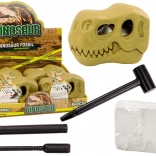 Régészeti ásatások Dinoszaurusz Kövületek Koponya