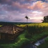 Bali rizsföldek puzzle, 500 darab