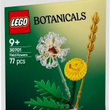 Lego Botanicals – mezei virágok