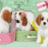 Fesd ki! Számozott festés: Aranyos kutyusok