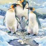 Cobble Hill családi puzzle Pingvincsalád 350 darab
