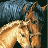 Gyémántfestés Kanca csikóval 30x40 cm