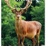 Vadász Naptár 2026