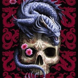 TREFL Premium Plus kirakó – keleti sárkány (1000 darab)