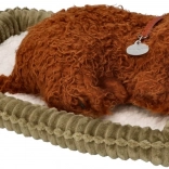 Tökéletes Ölelgetnivaló Alvó Pudlikölyök