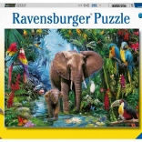Ravensburger puzzle Elefántok az oázisban 150 darab