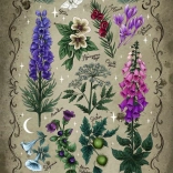 Mérgező Növények Puzzle 1000 darab