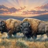 COBBLE HILL Poros síkságok puzzle 1000 darab