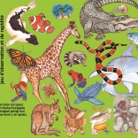 Kártyajáték Zanimatch