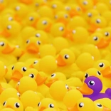 Ravensburger puzzle Kiskacsák 1000 darab