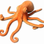 Plüss polip 55 cm narancssárga