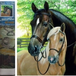 Norimpex gyémántfestés – lovak 30 × 40 cm