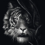 Schmidt puzzle A tigris vadsága – a szabadság megtestesülése 1000 darab