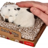 Ugató dalmata a fekhelyén