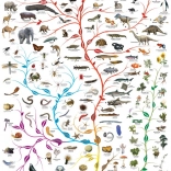 EUROGRAPHICS Életfa puzzle 1000 darab