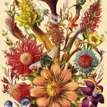 Puzzle Virágok Mesebeli Csokor 1000 Darab