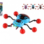 Pók mászik az üvegen