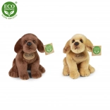 Ülő plüss labrador 20 cm ECO‑FRIENDLY