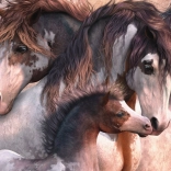 Puzzle Schmidt Pinto lovak 1000 darab