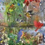 Cobble Hill madarak az évszakokban puzzle, 1000 darab