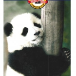 KOH-I-NOOR színes ceruza készlet, 12 szín