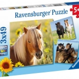 Ravensburger puzzle – aranyos lovak 3×49 darab