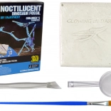 Őskori csontvázásatás készlet - Pteranodon