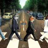 Puzzle Tabby Road 1000 darab