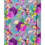 A4 füzetborítók kolibrivel BAAGL