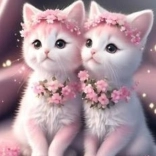 Gyémántfestés Rózsaszín kiscicák 30x40cm