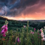 RAVENSBURGER – 1000 darabos puzzle: Közeleg a vihar