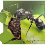 Hangya és élete ciklusa - fa réteges puzzle