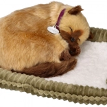 Lélegző sziámi kiscica – élethű plüssmacska fekhelyen