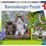 Ravensburger puzzle kiscicák 3×49 darab