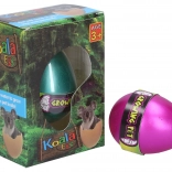 Növekvő Koala Tojás 6,5 cm