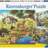 RAVENSBURGER puzzle állatok az erdőben, az állatkertben és a tanyán 3×49 darab