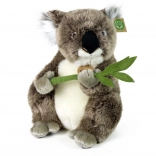 Plüss koala 30 cm, környezetbarát