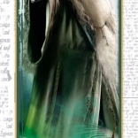 Harry Potter Dumbledore puzzle, 300 darab