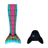 Bali farok alakú uszony