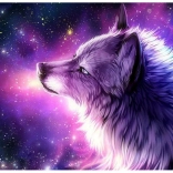 Gyémántfestés Farkas álom 30x40 cm