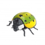 Elektronikus mászó katicabogár mozgásérzékelővel