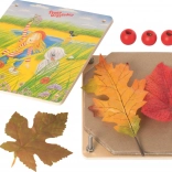 Fa növénysajtó Peggy Diggledey