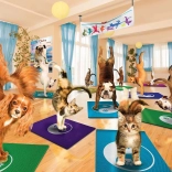 EUROGRAPHICS Jóga stúdió XL 300 darabos puzzle