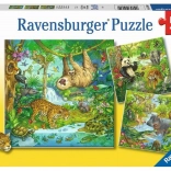 RAVENSBURGER Puzzle Állatok a dzsungelben 3x49 darab