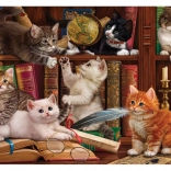 Puzzle Cicák a könyvtárban 500 darabos