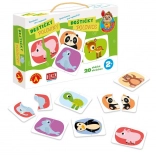 Alexander felfedezés a legkisebbeknek – félpár kártyák