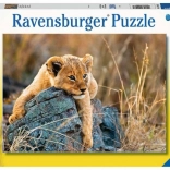 Ravensburger puzzle Kis oroszlán 200 darab