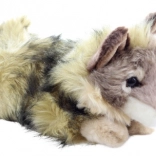 Plüss prérifarkas környezetbarát