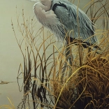 Kék gém puzzle 500 darabos Cobble Hill