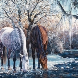 Téli Szépség Puzzle 500 Darab Cobble Hill